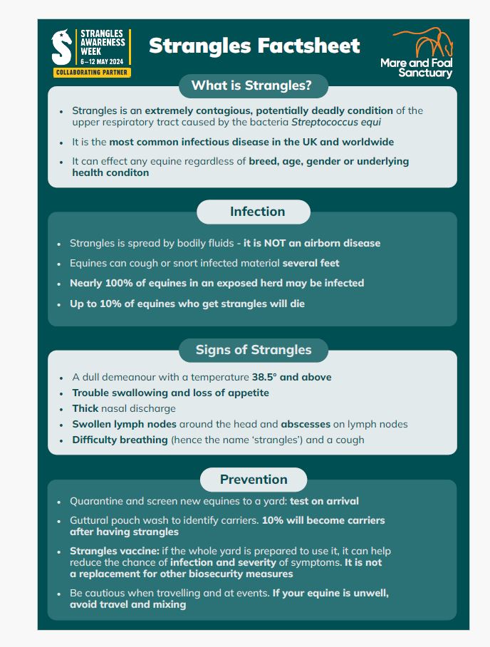 Strangles factsheet 