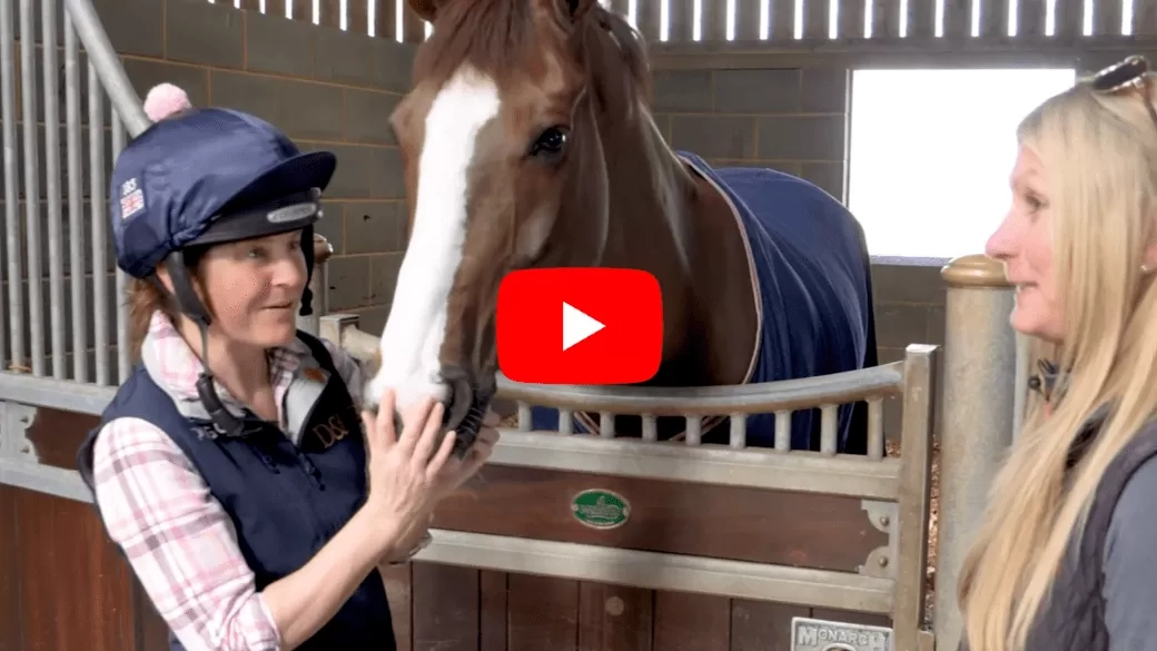 Piggy March - How to take your horses temperature