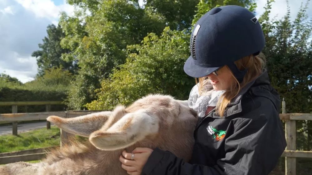 Donkey Rodney cuddles into one of his carers.