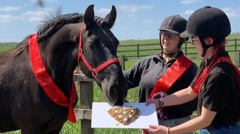 Black horse Maya is wearing a red birthday sash and is tucking into a horse-friendly cake, supported by two of her carers also wearing red sashes.