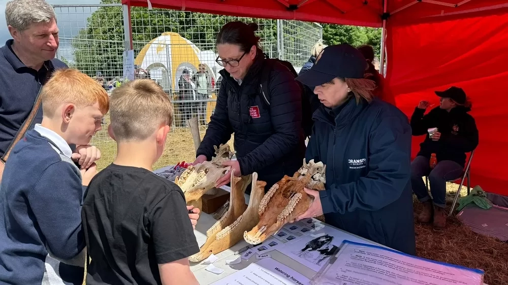 The NEWC engagement team at work