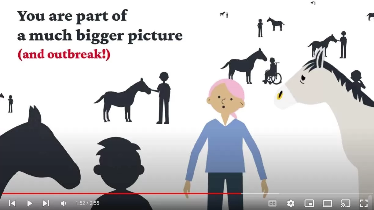 Watch our brand-new Strangles animation