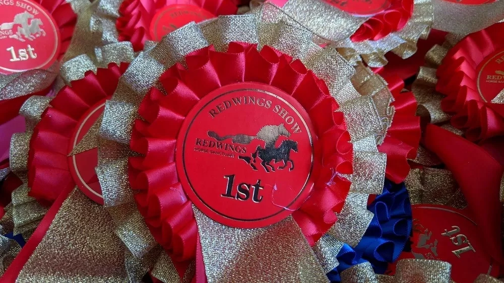 Win a rosette in the Redwings Online Show!