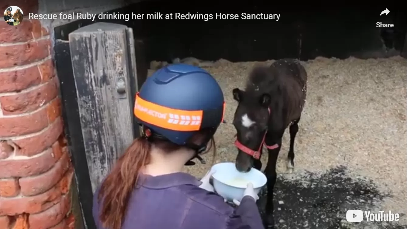 Ruby drinks her milk