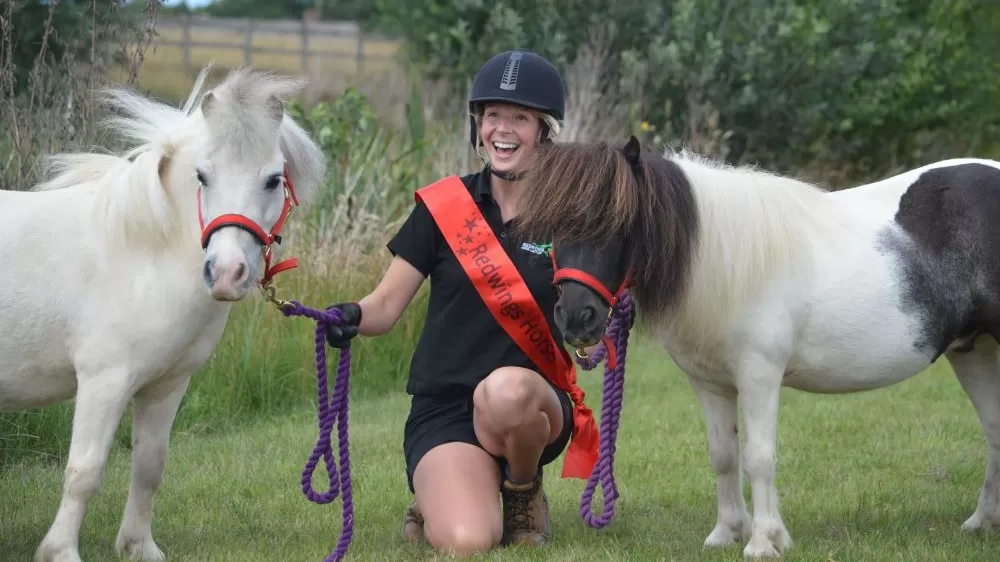 Miniature Shetlands Patch and Fred flank a member of the Redwings horse care team who is wearing a birthday banner.
