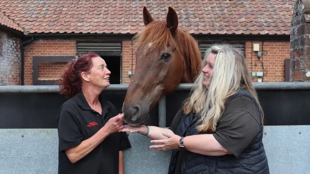 Field Officers Julie and give a cuddle to a chestnut horse who has poked his head over his paddock wall.