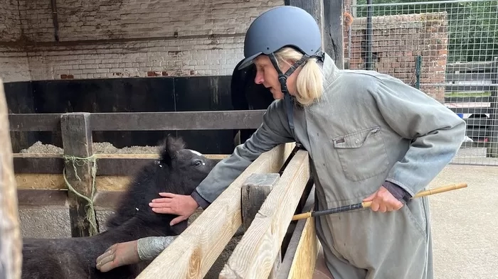 Ruby's handling training 