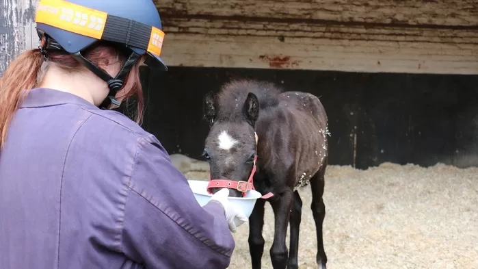 Ruby drinking her milk
