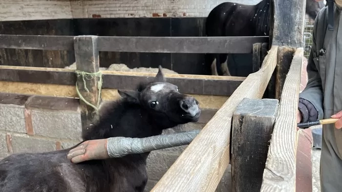 Ruby learning that scratches are good!