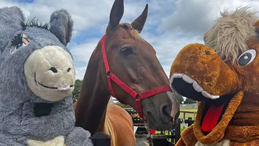 Chestnut horse Zippy stands between Redwings' two mascots - horse Red and donkey Wings - who are holding his horse-friendly birthday cake.