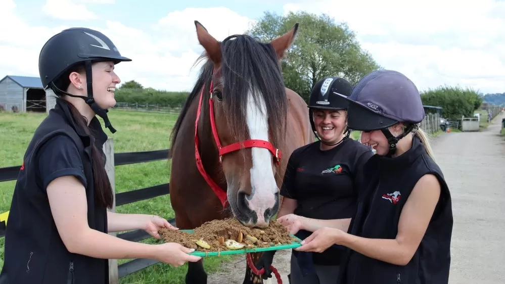 Adoption Star Lady, a Shire horse, tucks into a horse-friendly birthday cake held by her carers.