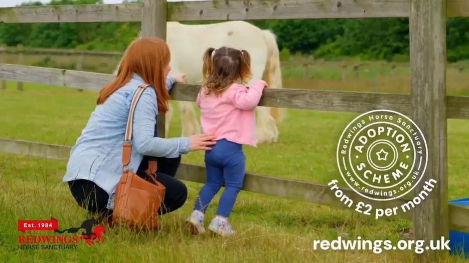 A woman and a toddler watch a pony grazing in his paddock through the fence.