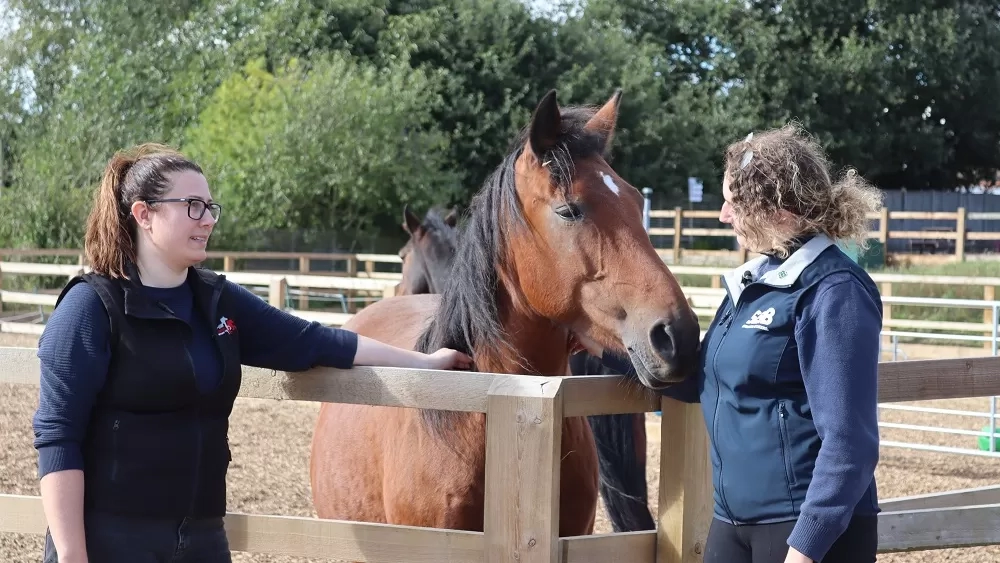 Rebecca from Redwings and Selina from SEIB are stroking a bay horse over a fence 