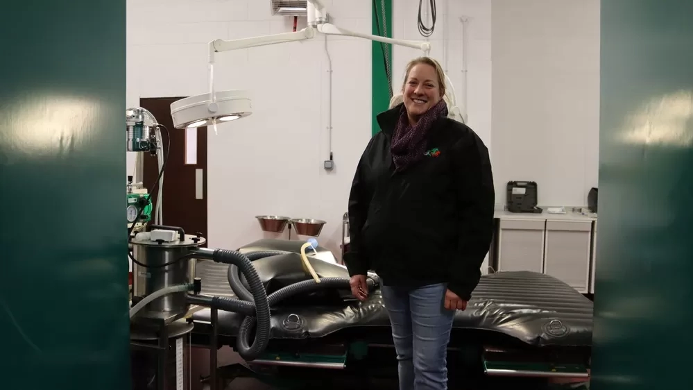 Dawn, a vet, stands in the operating theatre at the Redwings Horse Hospital.