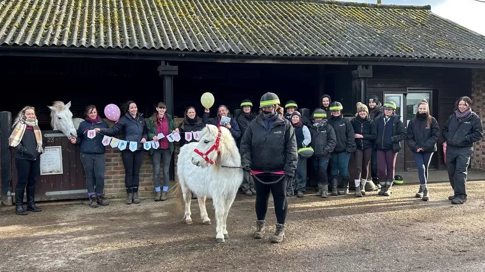 A grey pony stands in front of a row of stables surrounded by Redwings' equine carers and vets holding balloons and a birthday banner. 