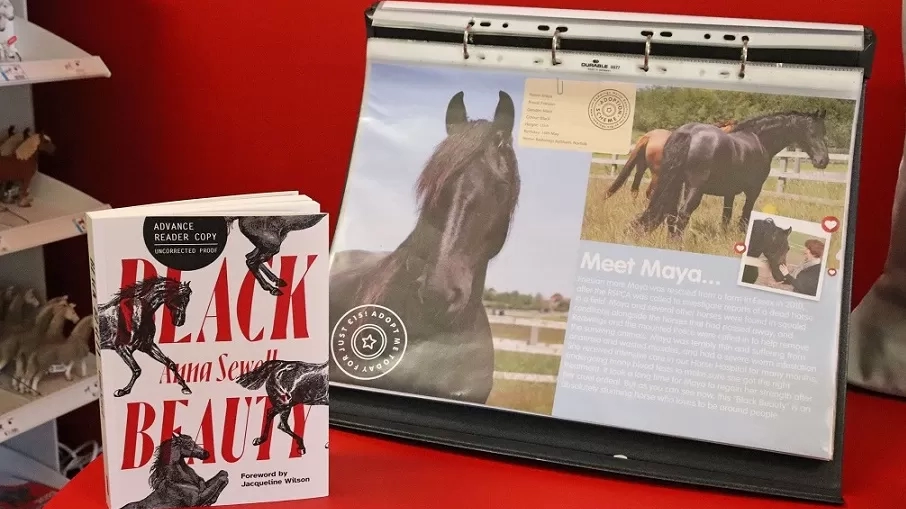 A copy of the Redwings edition of Black Beauty sits next to a poster about Adoption Star horse Maya.