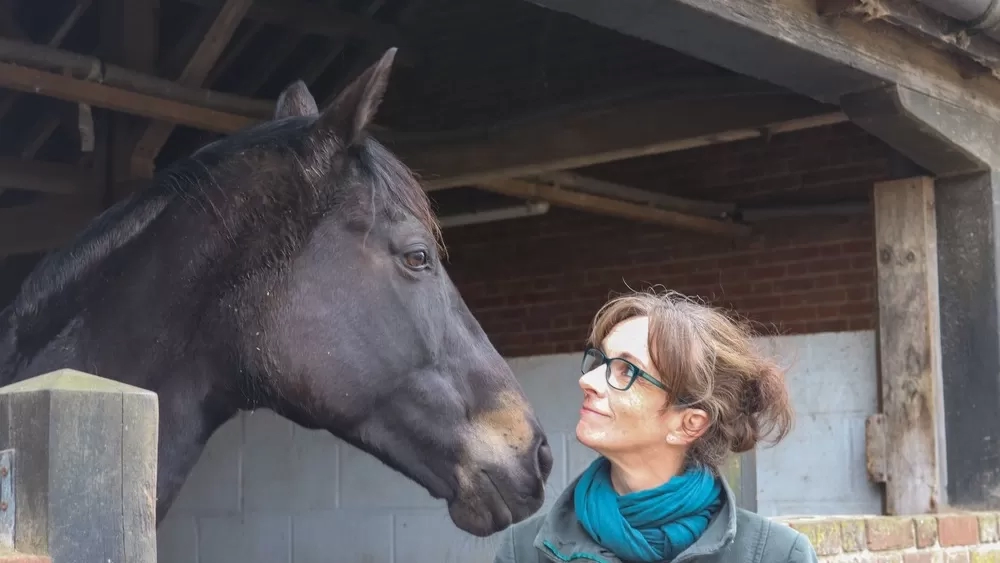 A woman stands outside a stable looking up at a bay horse.