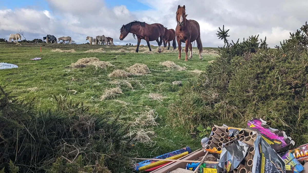 Horses and fireworks