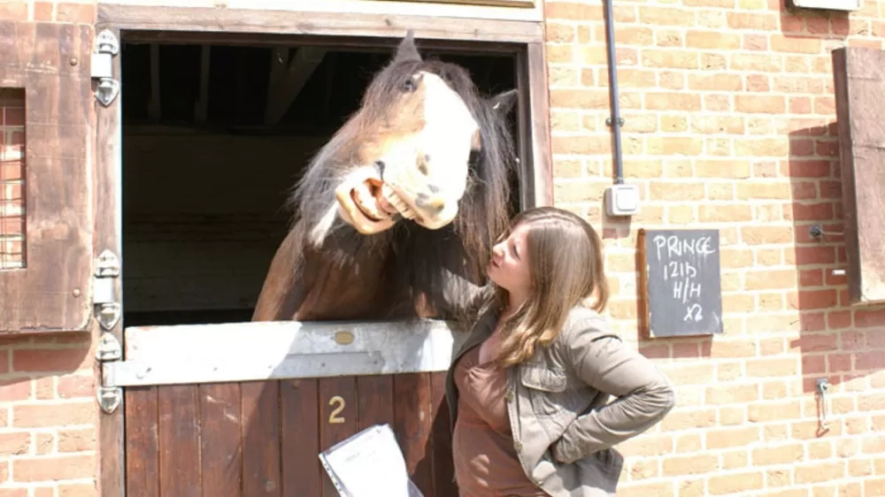 A woman stands outside a stable giving a scratch to a large horse over the stable door who is pulling a silly face.