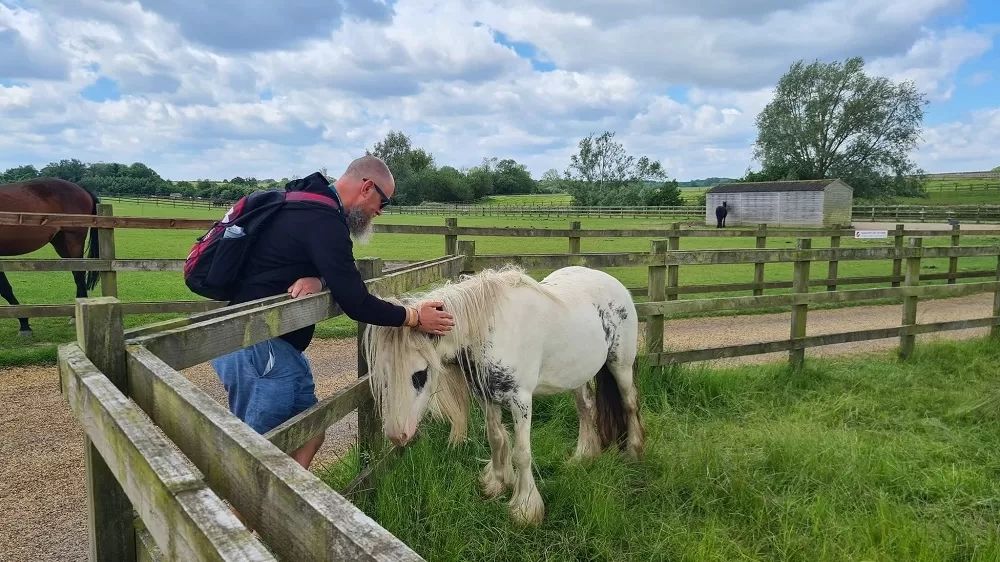 A man strokes a piebald cob over a fence 