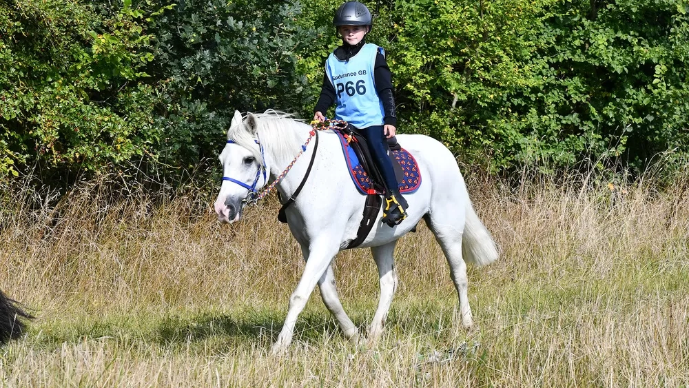 Redwings Milky-Way and Alfie-Jay