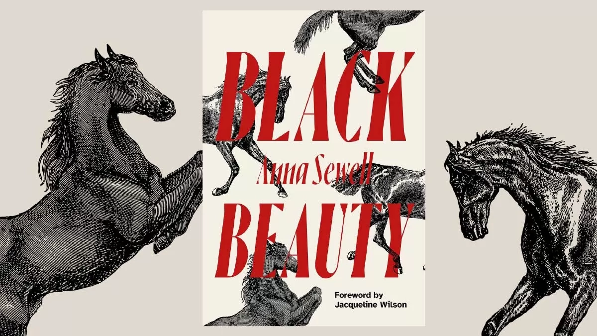 black beauty book banner