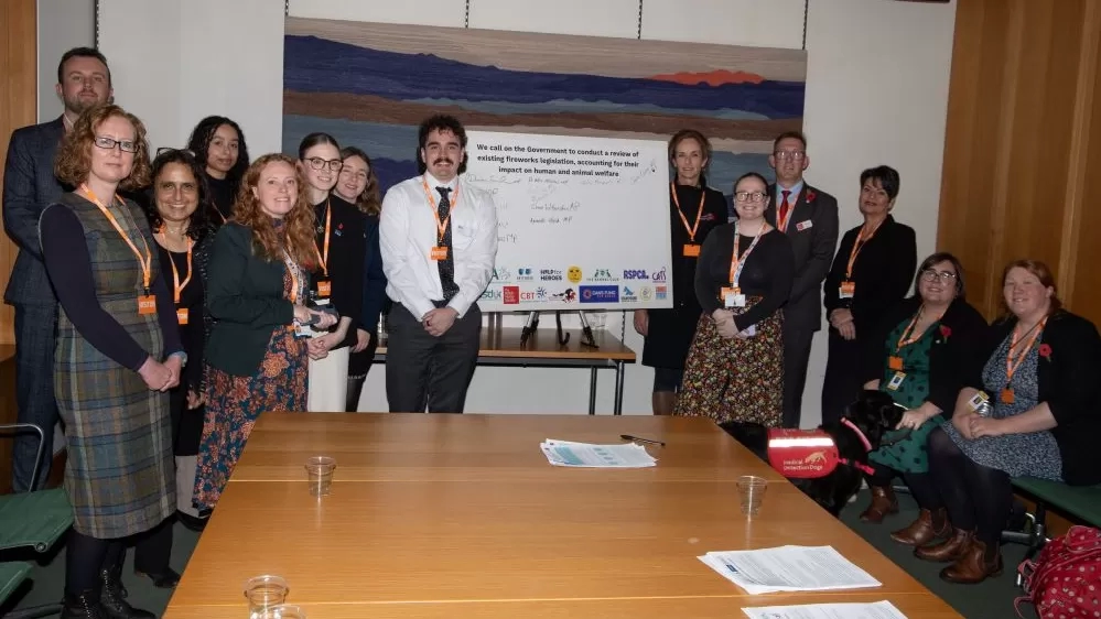 Members of the Fireworks Working Group gather in a group pose.