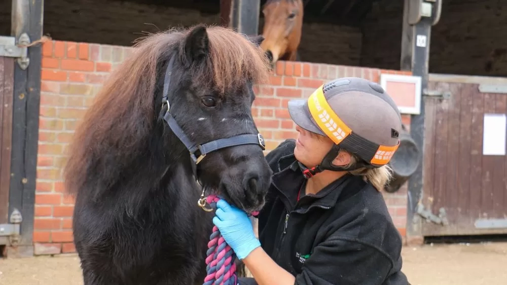 Nursing Manager Lou stands with little Shetland pony Marjorie outside some stables.