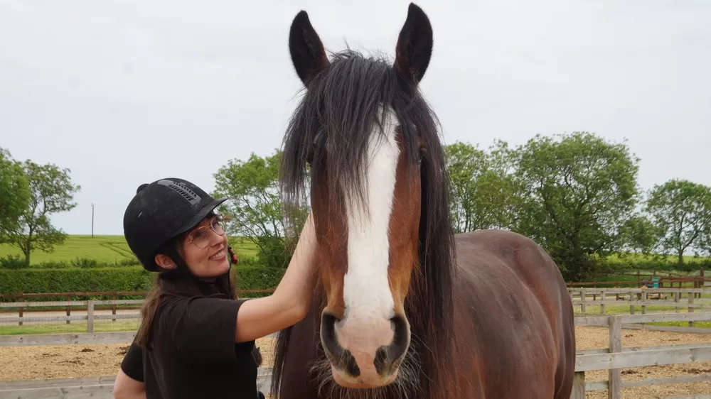 A member of Redwings staff wearing a hard hat strokes the head of a large Shire horse in their paddock.