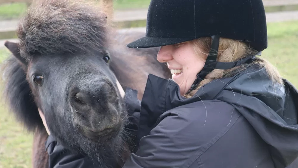 A small Shetland pony is being tickled by a member of staff who is kneeling down and wearing a hard hat. 