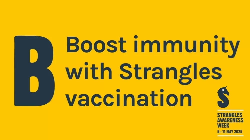 Boost immunity with Strangles vaccination