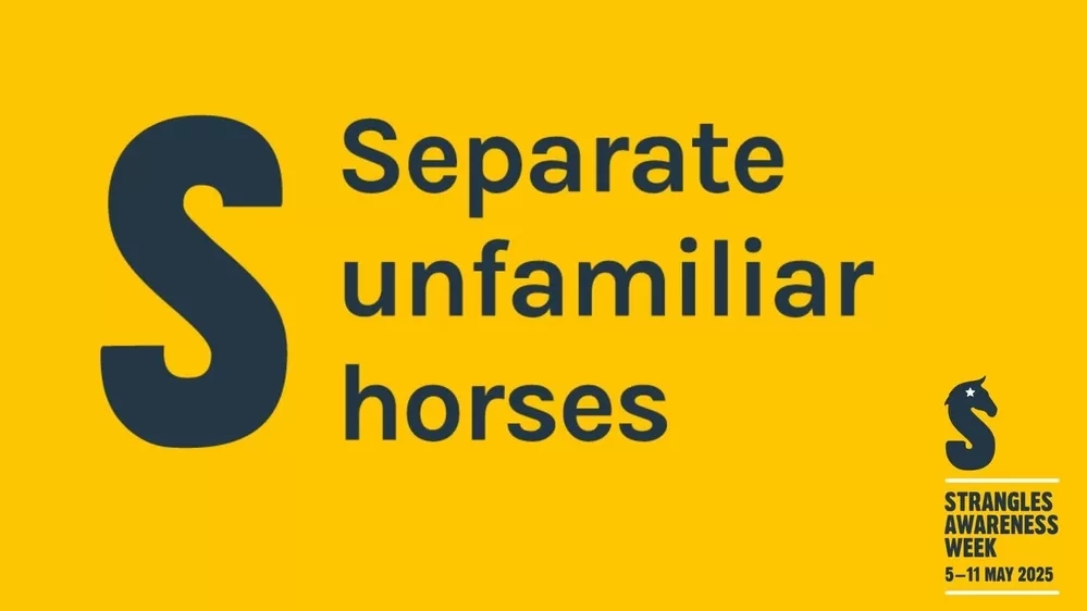 Separate unfamiliar horses