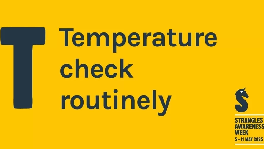 Temperature check routinely