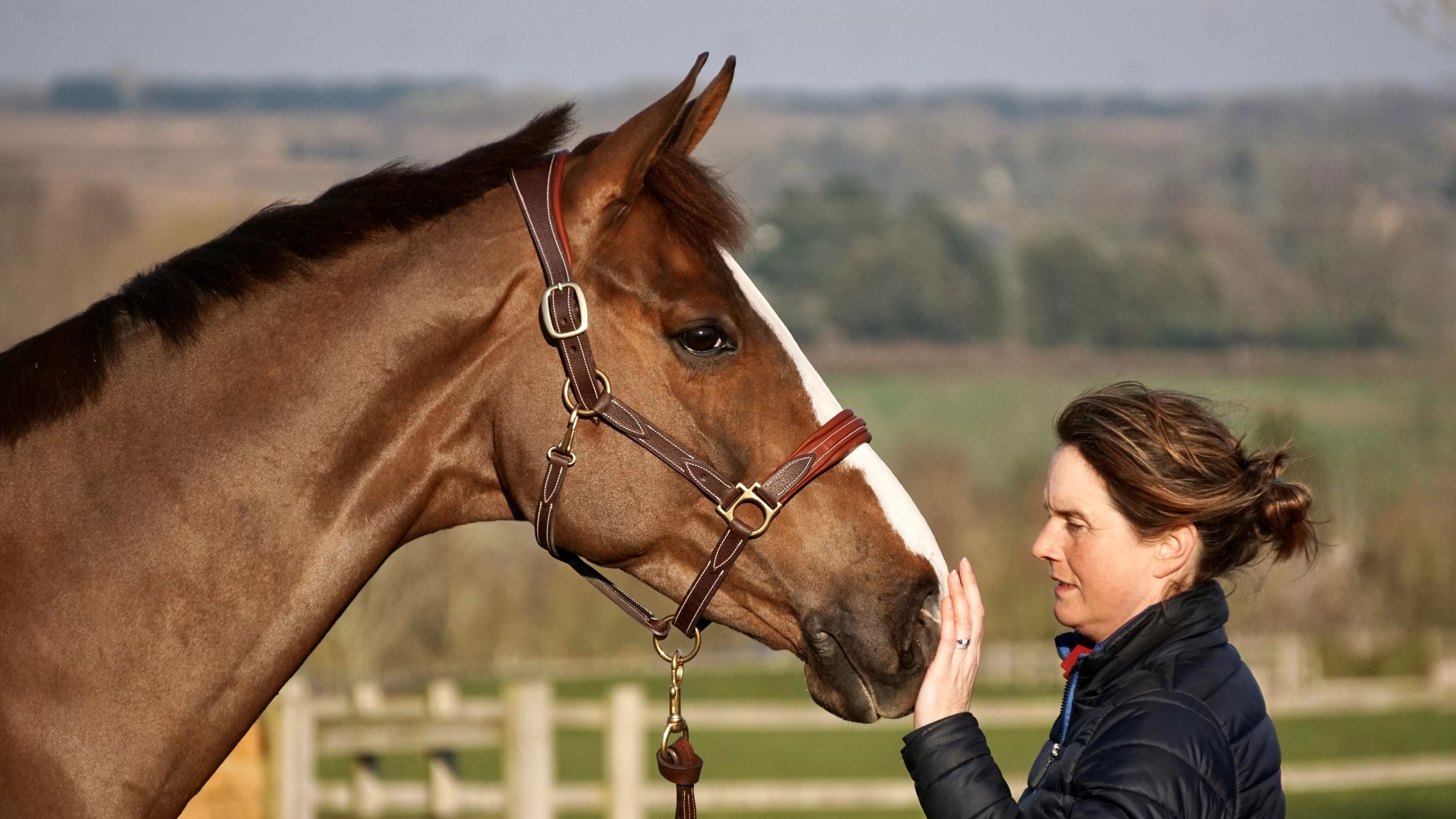 Piggy March stroking horse on the nose