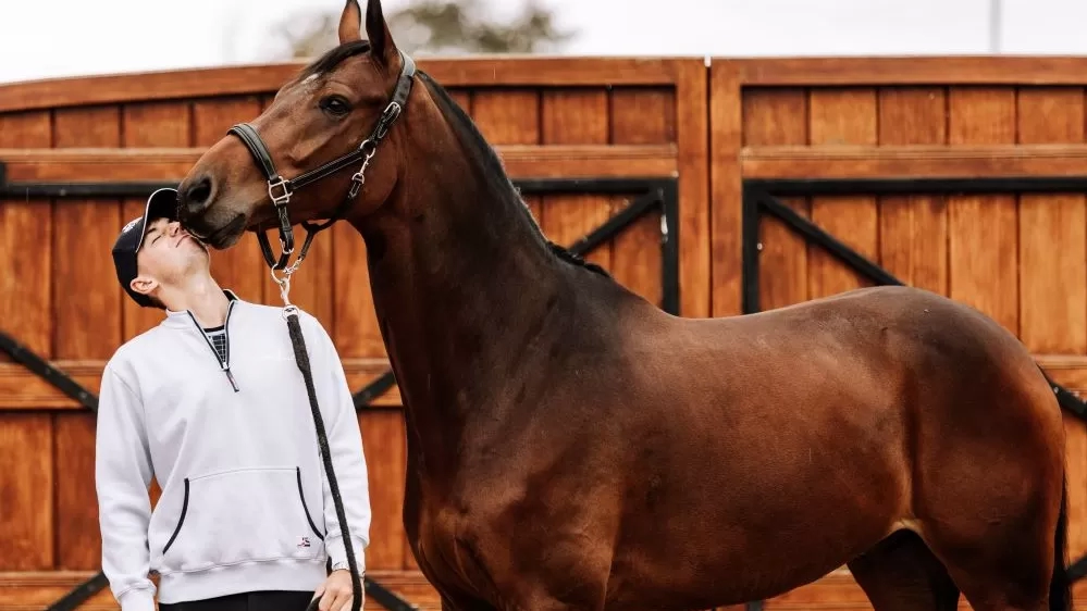 Showjumper Joe Stockdale stood next to his horse, who is kissing him