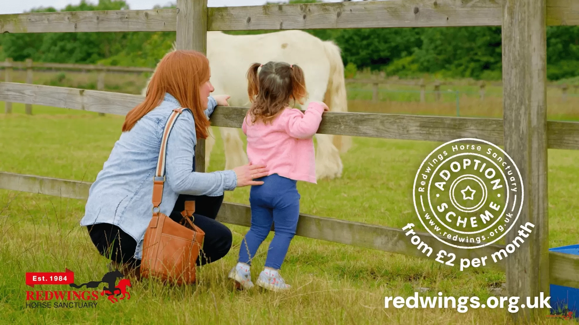 Adopt now - from £2 Month 