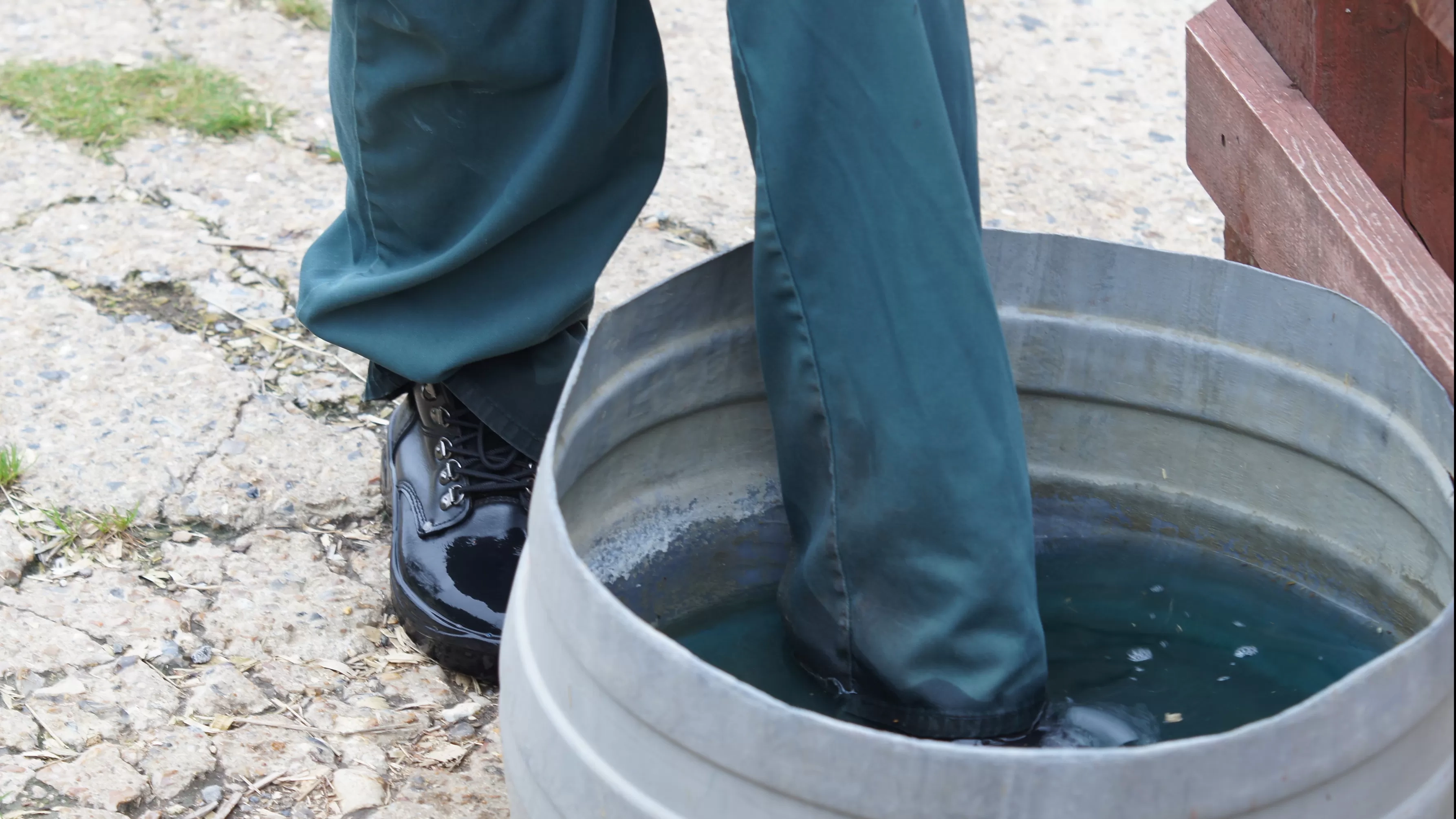 A photo of a person dipping their shoes into a disinfection dip.