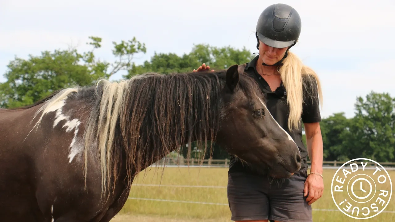 Photo of Pansie the horse with carer. 