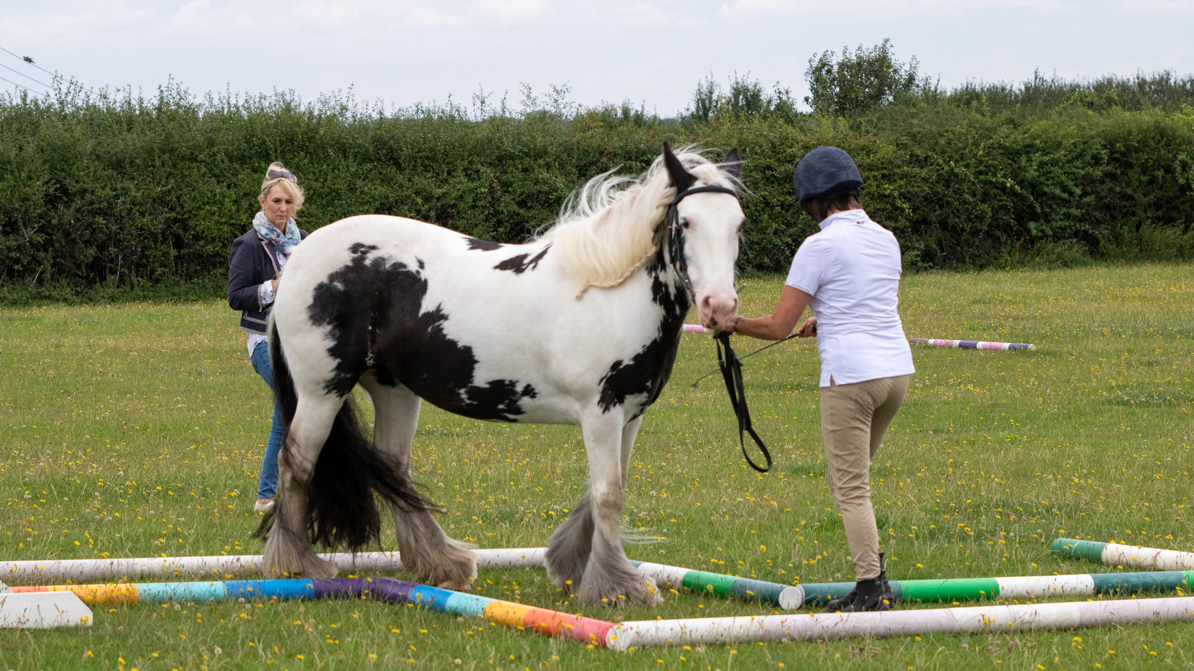 Sue leading her rehomed horse Estelle through a pole maze.