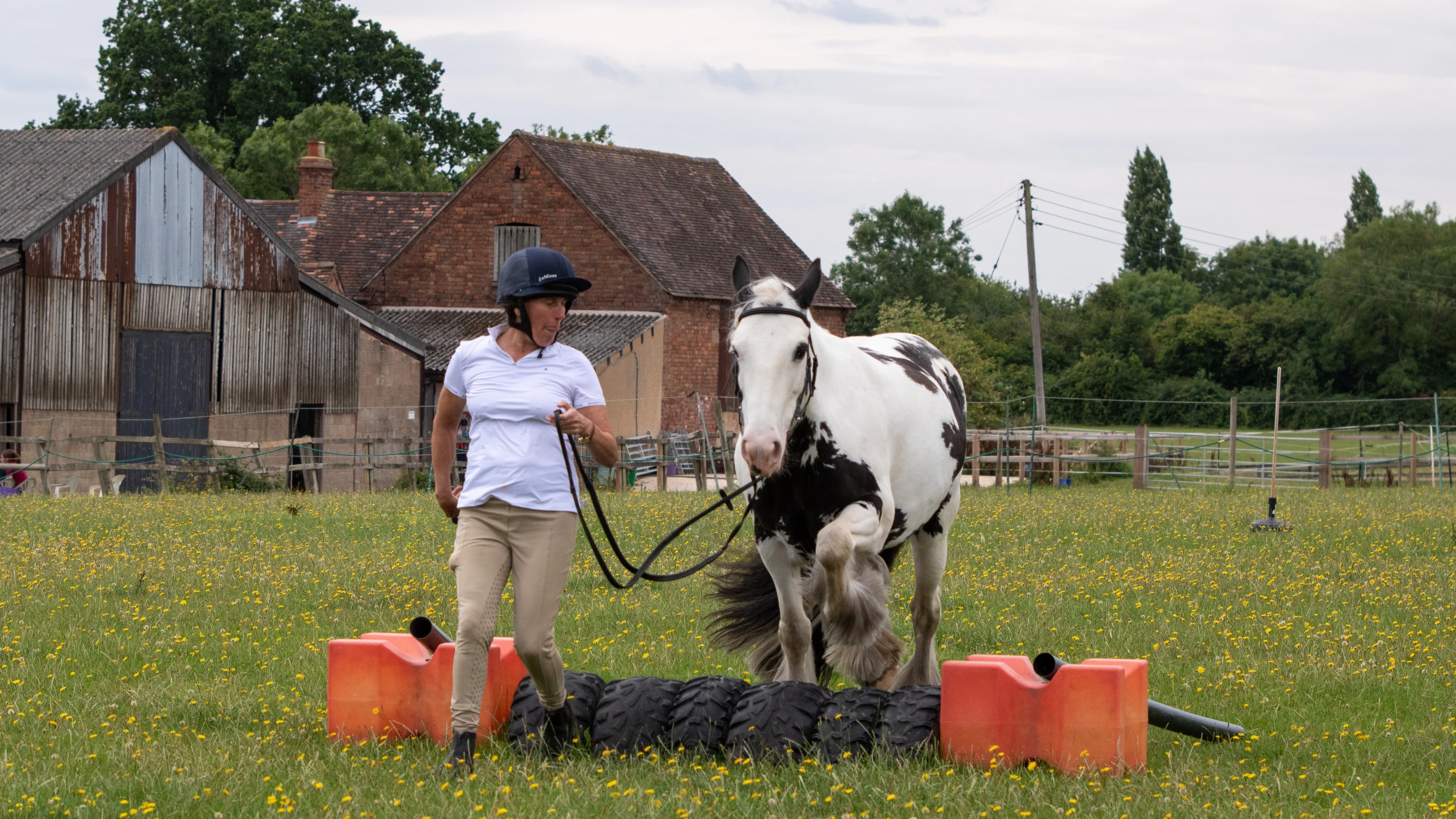 Sue running alongside her rehomed horse Estelle going over a tire obstacle.