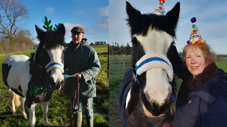 Two photos of Boris with his Guardians wearing festive attire (left he is wearing a Christmas headband, right he is wearing a birthday hat).