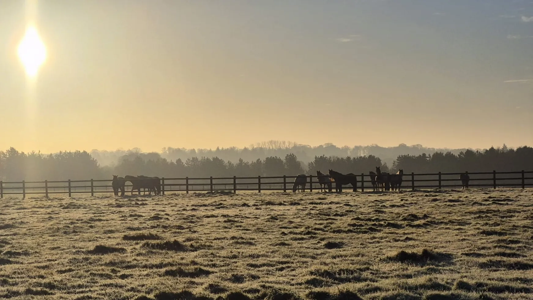 Wintery morning at Redwings Caldecott 