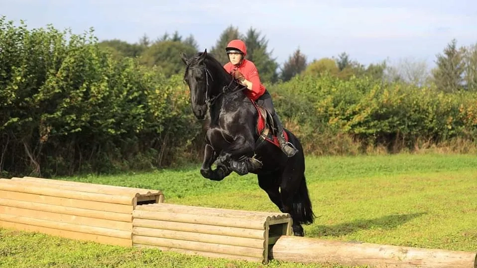 Photo of a horse and rider jumping over a wooden jump.