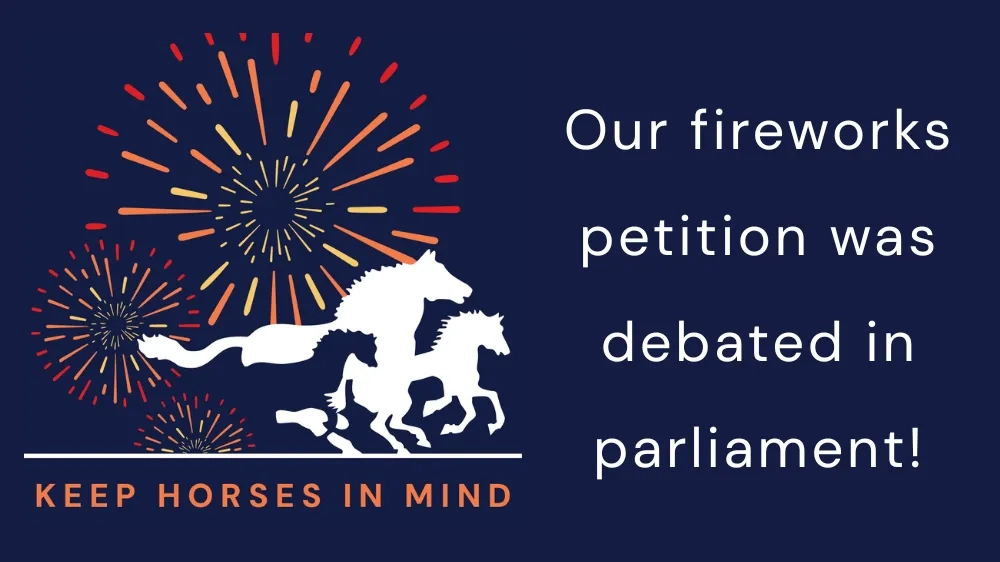 Graphic of fireworks with the Redwings logo, text reads "Our fireworks petition was debated in parliament!"