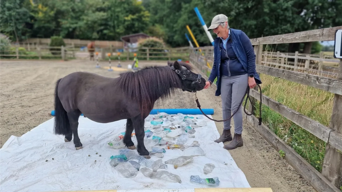 Photo of Sam the Shetland pony at a spook busting clinic