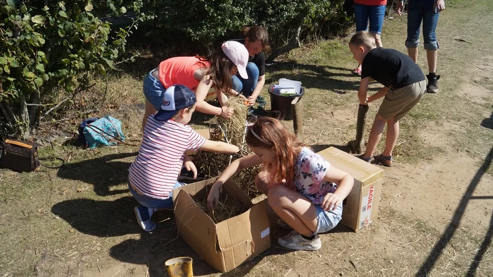 Photo of children making enrichment boxes