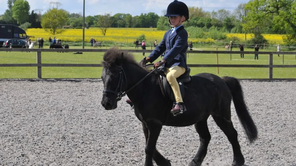 Dylan the pony being ridden at a horse show.