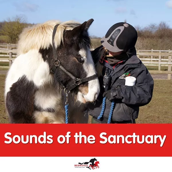 Share the Love for Redwings Horse Sanctuary • Paso Robles Press