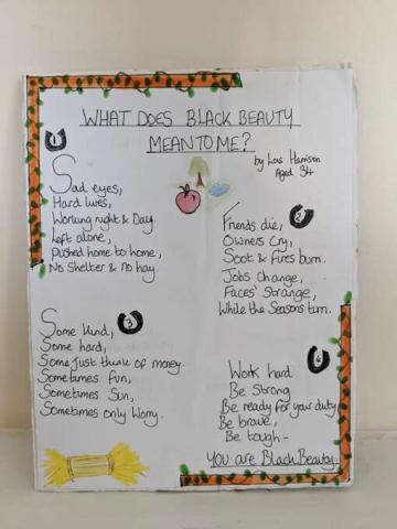 Black beauty poetry entry