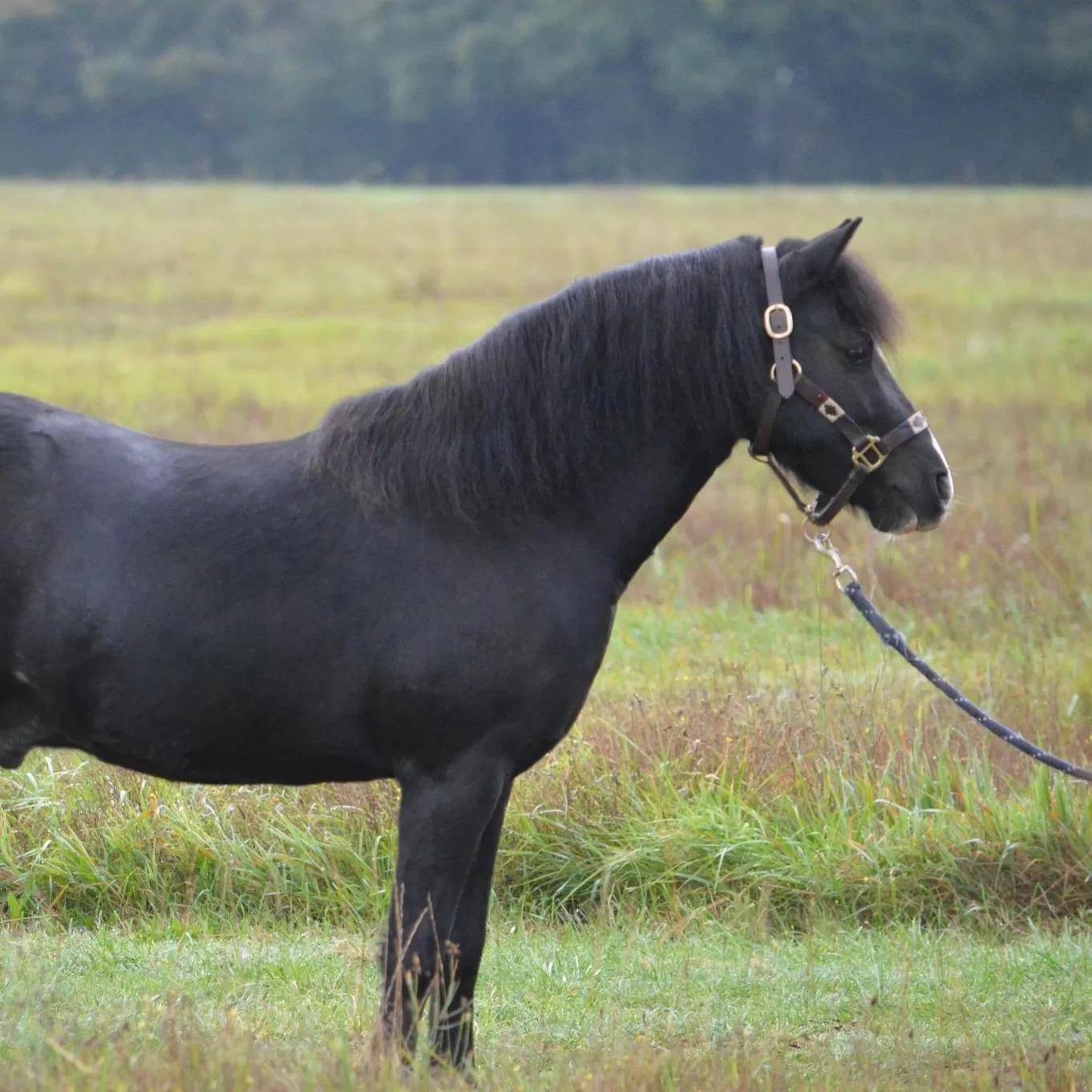 Graham pictured in his guardian home